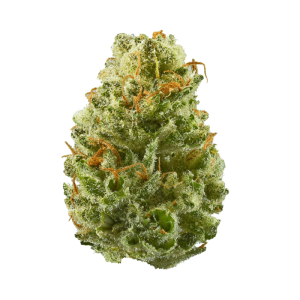 buy AK-47 strain online